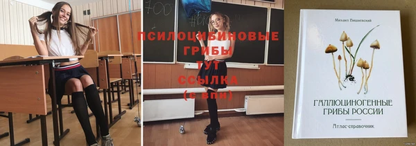 шишки Касимов