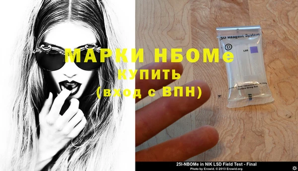 хмурый Карпинск