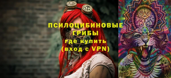 хмурый Карпинск