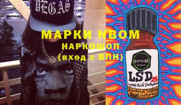 шишки Касимов