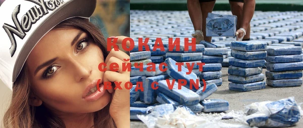 хмурый Карпинск