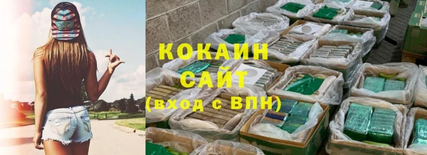 шишки Касимов