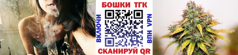 Купить где  Камешково  Канабис ГИДРОПОН 